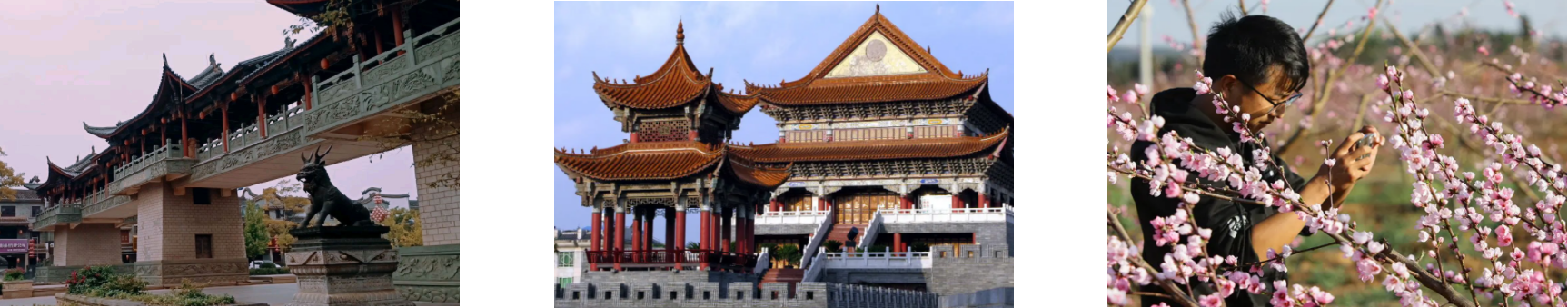 凯时尊龙人生就是博·Z6(中国)首页官网