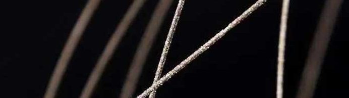 凯时尊龙人生就是博·Z6(中国)首页官网