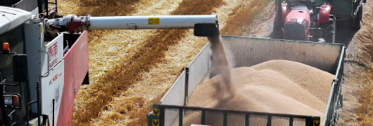 凯时尊龙人生就是博·Z6(中国)首页官网