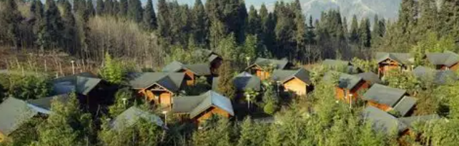 凯时尊龙人生就是博·Z6(中国)首页官网