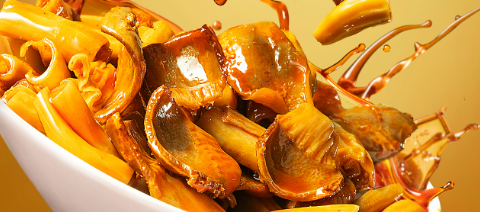 凯时尊龙人生就是博·Z6(中国)首页官网