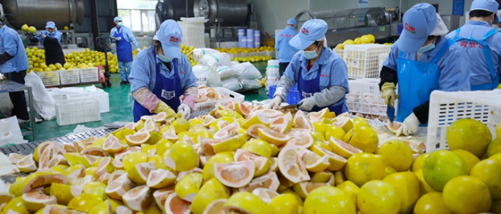 凯时尊龙人生就是博·Z6(中国)首页官网