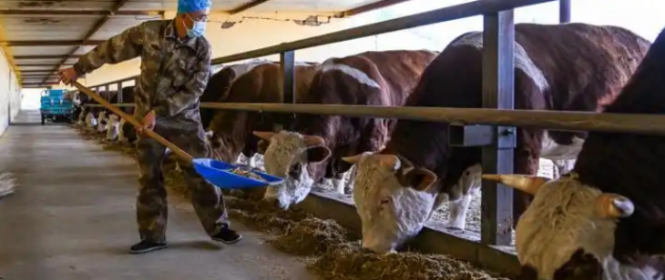 凯时尊龙人生就是博·Z6(中国)首页官网