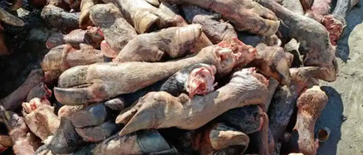 凯时尊龙人生就是博·Z6(中国)首页官网