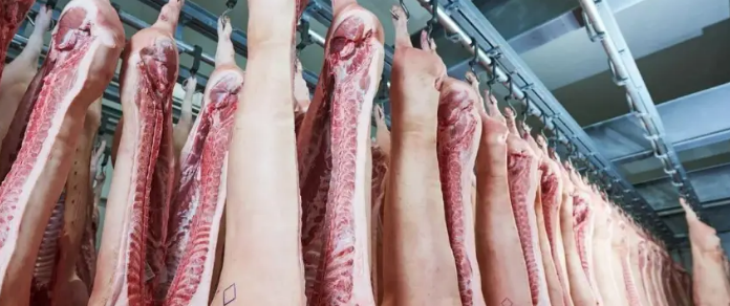 凯时尊龙人生就是博·Z6(中国)首页官网