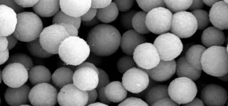 凯时尊龙人生就是博·Z6(中国)首页官网