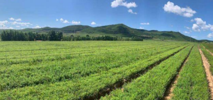 凯时尊龙人生就是博·Z6(中国)首页官网