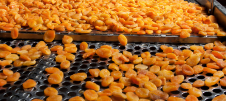 凯时尊龙人生就是博·Z6(中国)首页官网