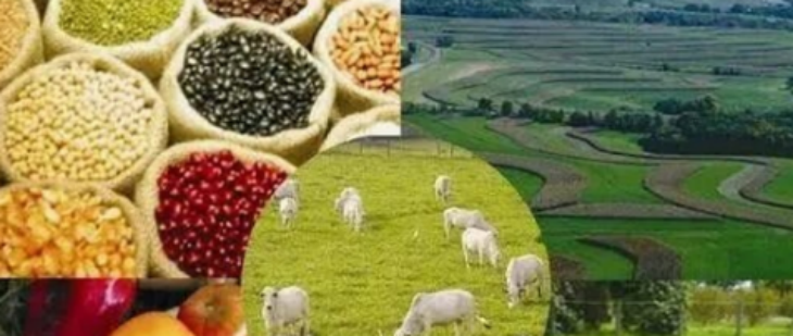 凯时尊龙人生就是博·Z6(中国)首页官网