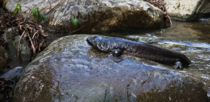凯时尊龙人生就是博·Z6(中国)首页官网
